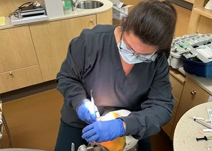Dental