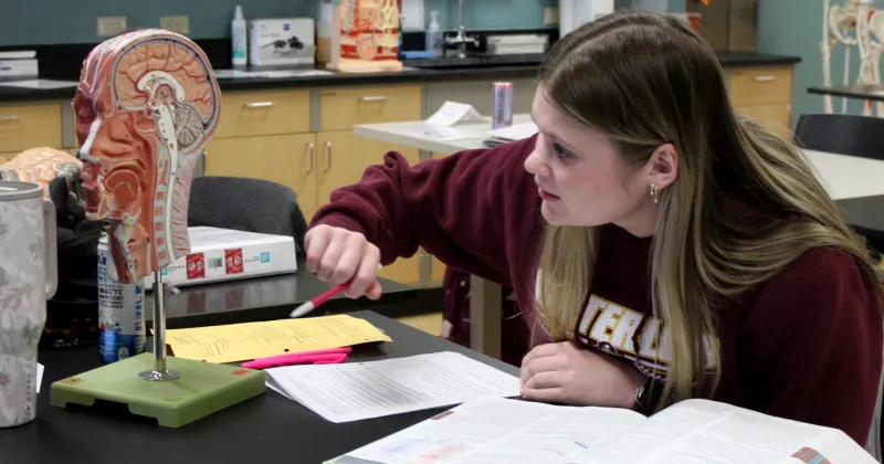Female student, wearing dark red sweatshirt, sitting at point to an anatomy model. Text books on desk in front of her.