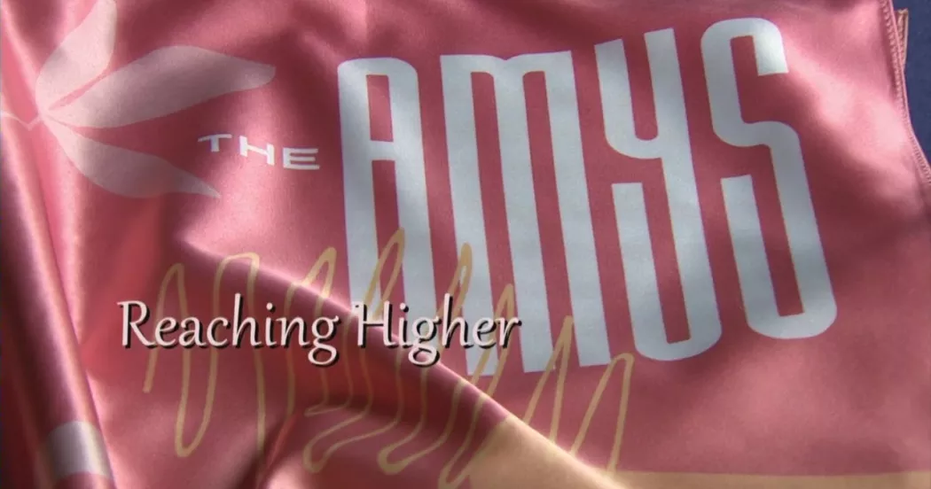 Amy Awards